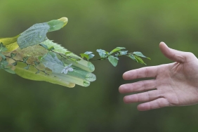 Eine menschliche und eine grün-blättrige Hand nähern sich mittels Handschlag