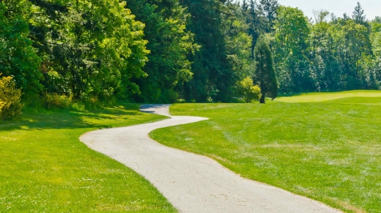 Oberbank Nachhaltigkeit - Weg in einem Wald